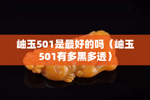岫玉501是最好的嗎（岫玉501有多黑多透）