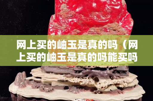 網上買的岫玉是真的嗎（網上買的岫玉是真的嗎能買嗎）