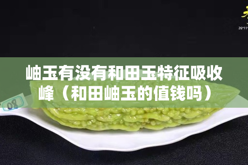 岫玉有沒有和田玉特征吸收峰（和田岫玉的值錢嗎）