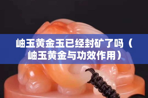 岫玉黃金玉已經(jīng)封礦了嗎（岫玉黃金與功效作用）