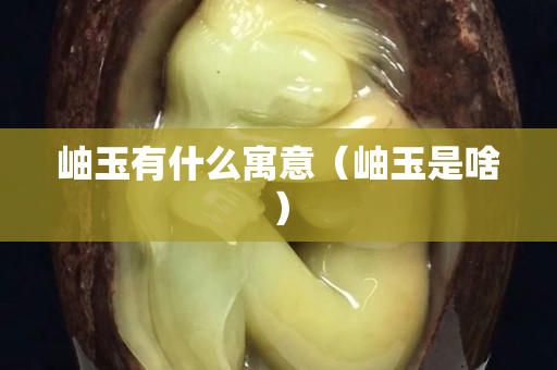 岫玉有什么寓意（岫玉是啥）