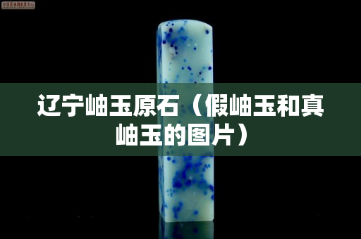 遼寧岫玉原石（假岫玉和真岫玉的圖片）