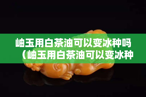 岫玉用白茶油可以變冰種嗎（岫玉用白茶油可以變冰種嗎圖片）