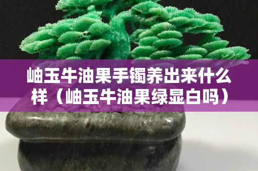 岫玉牛油果手鐲養(yǎng)出來什么樣（岫玉牛油果綠顯白嗎）