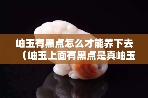 岫玉有黑點(diǎn)怎么才能養(yǎng)下去（岫玉上面有黑點(diǎn)是真岫玉嗎？）