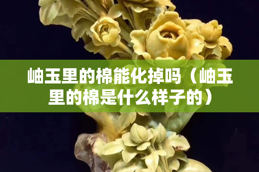 岫玉里的棉能化掉嗎（岫玉里的棉是什么樣子的）