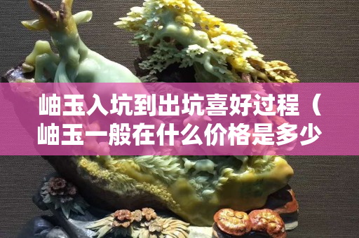 岫玉入坑到出坑喜好過程（岫玉一般在什么價格是多少）