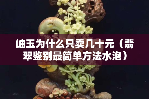 岫玉為什么只賣幾十元（翡翠鑒別最簡單方法水泡）