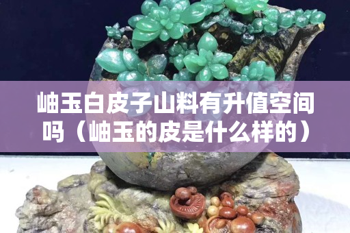 岫玉白皮子山料有升值空間嗎（岫玉的皮是什么樣的）