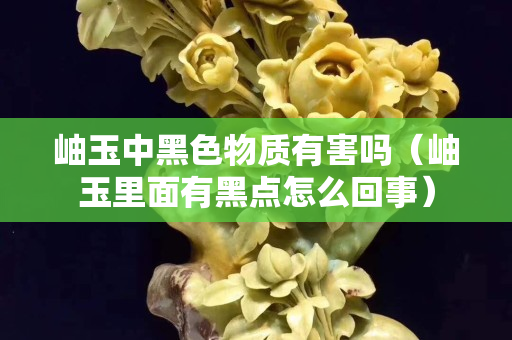 岫玉中黑色物質有害嗎（岫玉里面有黑點怎么回事）