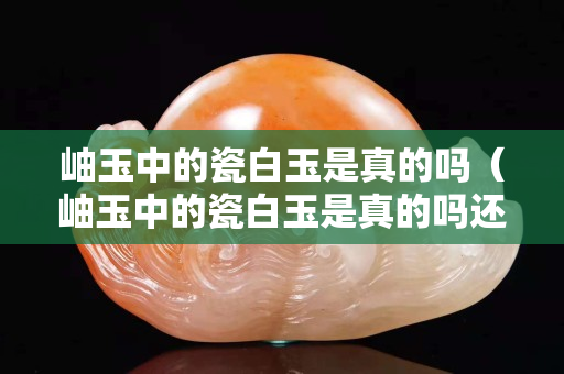 岫玉中的瓷白玉是真的嗎（岫玉中的瓷白玉是真的嗎還是假的）