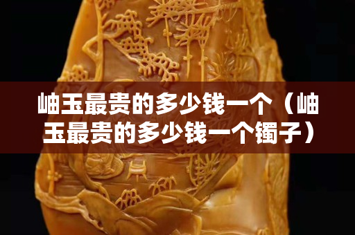 岫玉最貴的多少錢一個（岫玉最貴的多少錢一個鐲子）