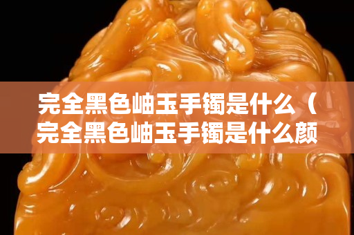 完全黑色岫玉手鐲是什么（完全黑色岫玉手鐲是什么顏色的）