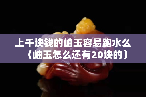 上千塊錢的岫玉容易跑水么（岫玉怎么還有20塊的）