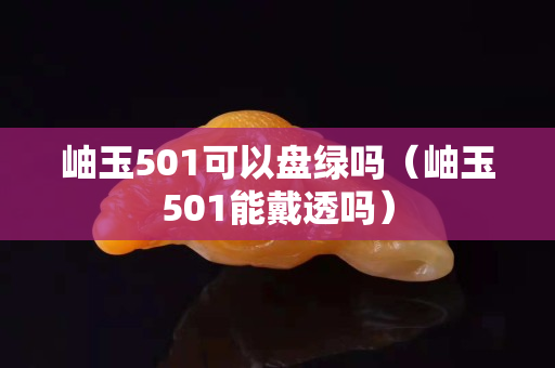 岫玉501可以盤綠嗎（岫玉501能戴透嗎）