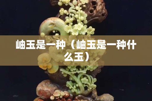 岫玉是一種（岫玉是一種什么玉）