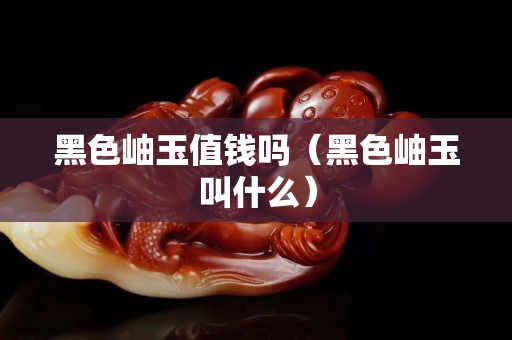 黑色岫玉值錢嗎（黑色岫玉叫什么）