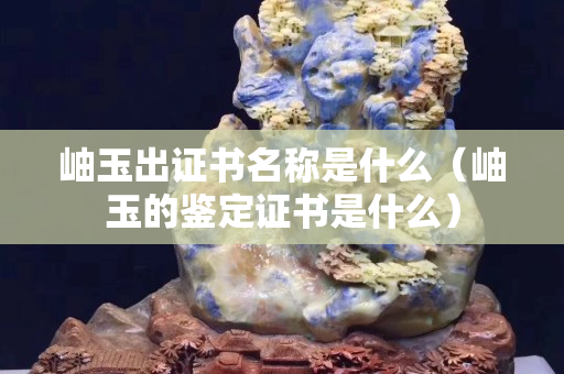 岫玉出證書名稱是什么（岫玉的鑒定證書是什么）