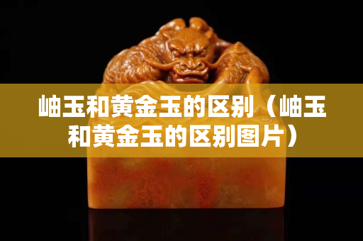 岫玉和黃金玉的區(qū)別（岫玉和黃金玉的區(qū)別圖片）