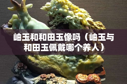 岫玉和和田玉像嗎（岫玉與和田玉佩戴哪個養(yǎng)人）