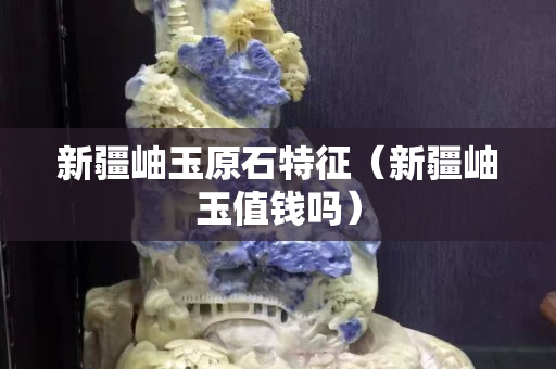 新疆岫玉原石特征（新疆岫玉值錢嗎）