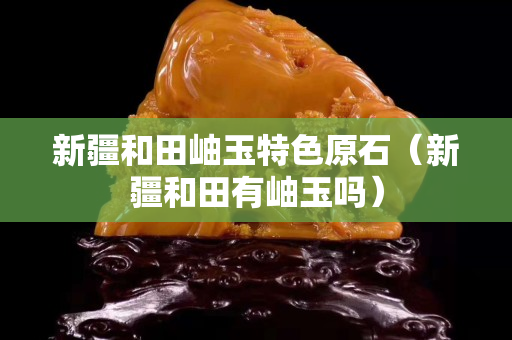 新疆和田岫玉特色原石（新疆和田有岫玉嗎）