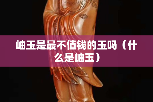 岫玉是最不值錢的玉嗎（什么是岫玉）