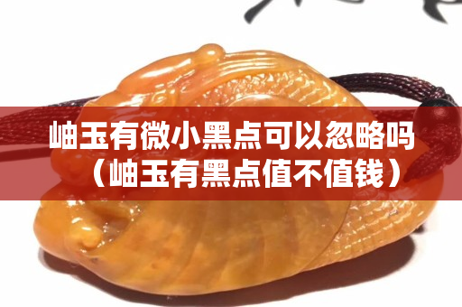 岫玉有微小黑點可以忽略嗎（岫玉有黑點值不值錢）