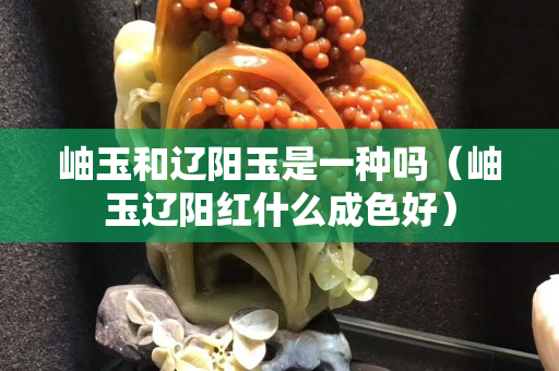 岫玉和遼陽玉是一種嗎（岫玉遼陽紅什么成色好）