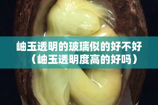 岫玉透明的玻璃似的好不好（岫玉透明度高的好嗎）