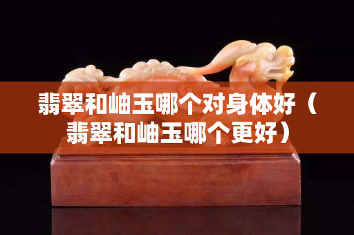 翡翠和岫玉哪個對身體好（翡翠和岫玉哪個更好）
