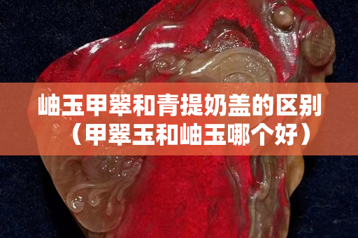 岫玉甲翠和青提奶蓋的區別（甲翠玉和岫玉哪個好）