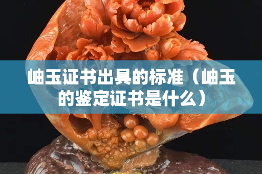 岫玉證書出具的標(biāo)準(zhǔn)（岫玉的鑒定證書是什么）