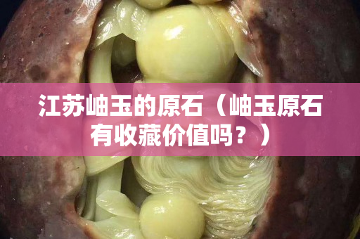 江蘇岫玉的原石（岫玉原石有收藏價值嗎？）