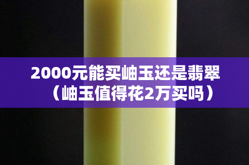 2000元能買岫玉還是翡翠（岫玉值得花2萬買嗎）