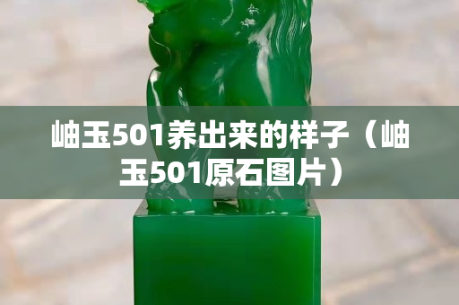 岫玉501養出來的樣子（岫玉501原石圖片）