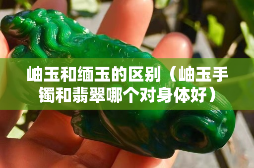 岫玉和緬玉的區別（岫玉手鐲和翡翠哪個對身體好）