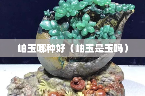 岫玉哪種好（岫玉是玉嗎）