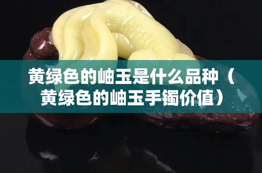 黃綠色的岫玉是什么品種（黃綠色的岫玉手鐲價值）
