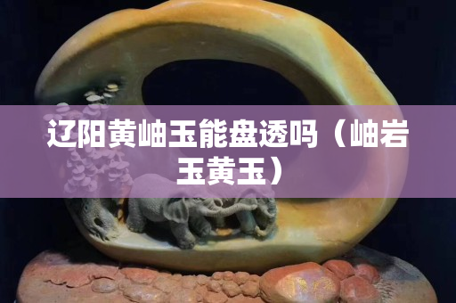 遼陽黃岫玉能盤透嗎（岫巖玉黃玉）