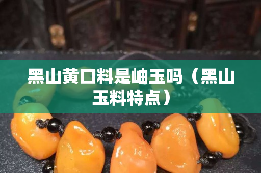 黑山黃口料是岫玉嗎（黑山玉料特點）