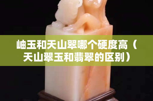 岫玉和天山翠哪個硬度高（天山翠玉和翡翠的區(qū)別）