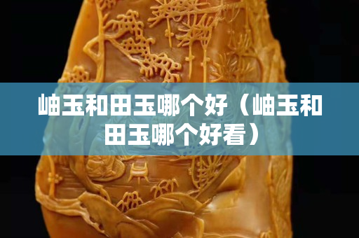 岫玉和田玉哪個(gè)好（岫玉和田玉哪個(gè)好看）