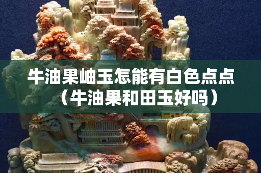 牛油果岫玉怎能有白色點(diǎn)點(diǎn)（牛油果和田玉好嗎）