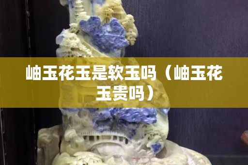 岫玉花玉是軟玉嗎（岫玉花玉貴嗎）