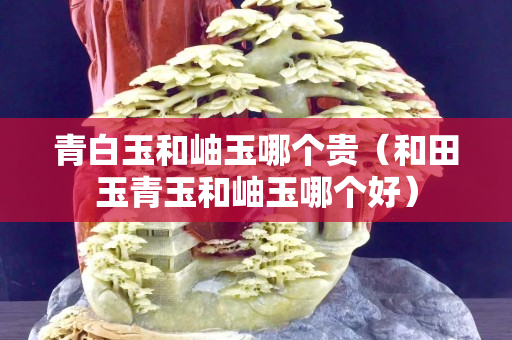 青白玉和岫玉哪個貴（和田玉青玉和岫玉哪個好）