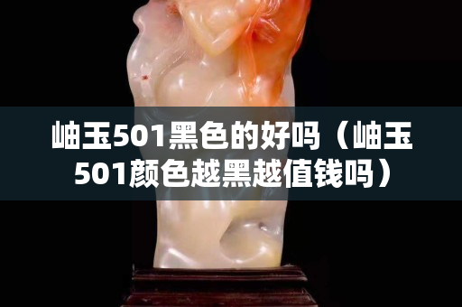 岫玉501黑色的好嗎（岫玉501顏色越黑越值錢嗎）
