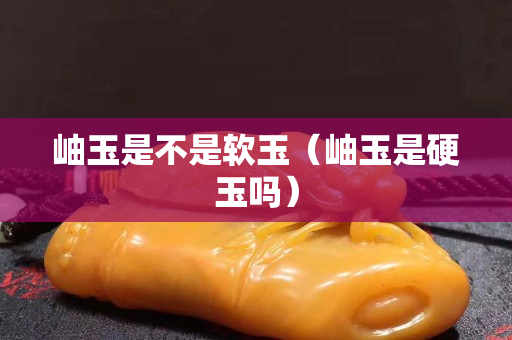 岫玉是不是軟玉（岫玉是硬玉嗎）