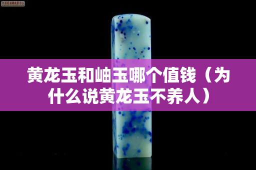 黃龍玉和岫玉哪個(gè)值錢（為什么說黃龍玉不養(yǎng)人）
