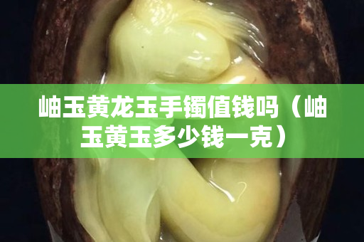 岫玉黃龍玉手鐲值錢嗎（岫玉黃玉多少錢一克）